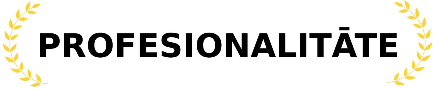 Profesionalitāte